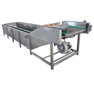 China Continuously Ultrasonic 220v Industrial Vegetable Washing Machine Fruit Cleaning for sale