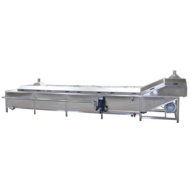 China SUS304 Salad Meat Carrot Potato Chips Blanching Machine 2000kg/H for sale