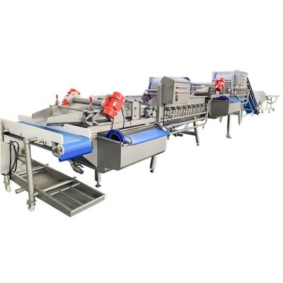 China Automatic 4.8kw 1500kg/H Fruit Vegetable Washing Machine for sale