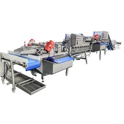 China Diced Cleaning 1700kg/H Vegetable And Fruit Washing Machine for sale