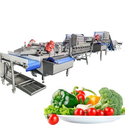 China Diced Onions 2000kg/H Fruit Vegetable Washing Machine for sale