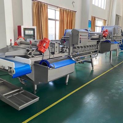 China máquina de lavar das hortaliças do fruto de 380v 2000kg/H à venda