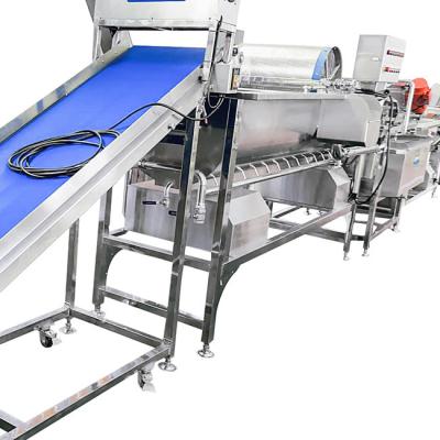 China Scallion 1900kg/H Vegetable Washing And Drying Machine for sale