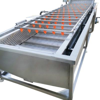 China Automatic Fruit Washer 400kg 500kg/H Vegetable Bubble Washing Machine for sale