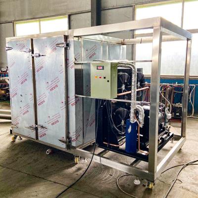 China Máquina de congelación rápida individual de SS304 IQF para las patatas fritas de las fritadas en venta