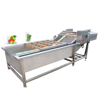 China Pasteurization Vegetable Fruit Washing Machine 1500kg/H for sale