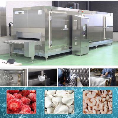 China Continuous Tunnel French Fries Seafood Freezer Arc Welding for sale