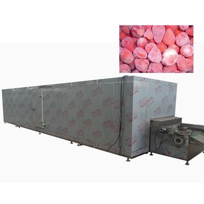 China Continuous Air Cooled Fruit Food Freezing Machine 1800KG/H for sale