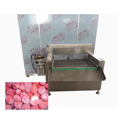 China SUS304 Fish Food Freezing Machine 1500KG/H Iqf Tunnel Freezer for sale