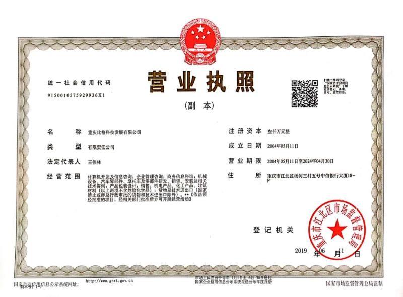 Business License - Chongqing Big Science & Technology Development Co., Ltd.