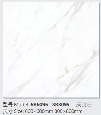 China Frost Resistant Glazed Porcelain Tile Rectangular 600 * 600mm for sale