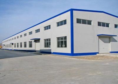 China Height 11m Logistics Steel Structure Construction Pre Engineered Steel Structure for sale
