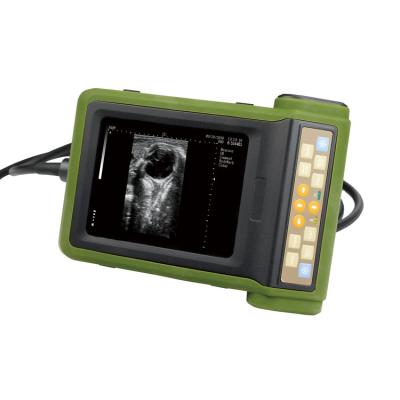 China Ultrasonic Medical Hospital Equipments Digital B Mode Veterinary RKU10 Ultrasound for sale