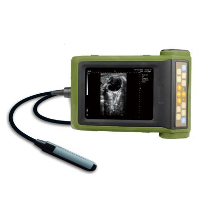 China RKU10 Veterinary Wireless Ultrasound Scanner Diagnostic Instruments B Mode for sale