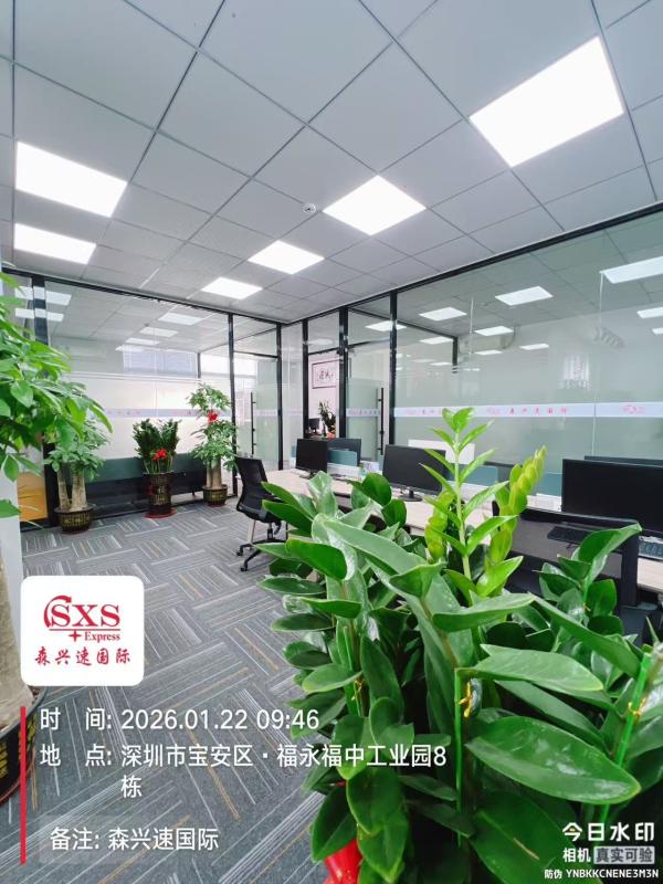 Verified China supplier - Shenzhen Senxingsu International Freight Forwarding Co., Ltd.