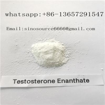 China Bodybuilding Steroids Testosterone Enanthate Burning Fat and Gaining Strength White Powder  99% Purity for sale