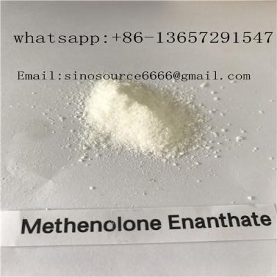 China Oral Safety Local Anaesthesia Drugs Aromatizing Methenolone Enanthate / Primobolan Powder for sale