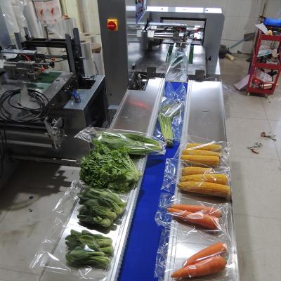 China Máquina de embalagem de tipo almofada de 40 sacos/min a motor elétrico 220V / 380V Fornecimento de energia à venda
