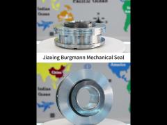 china Mechanical Seals