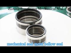 Bellow Mechanical Seal