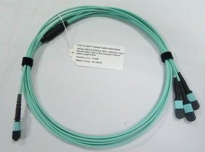 China 24 Fiber Optical MTP MPO  Cable Assemblies OM3 10G Aqua 25 Meter Blue for sale
