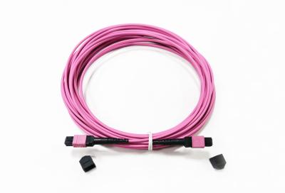 China 12 Fiber MPO Female Connector Patch Cord OM4  50/125um Elite Loss 0.35dB Purple Polarity A for sale