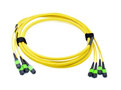 China USCONEC 48 Fibers Optical MTP Female Truck Cable Assembly Patch Cord for Data Center for sale