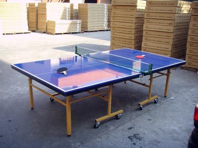 China Indoor Outdoor Table Tennis Table , Blue Folding Ping Pong Table For Competition for sale