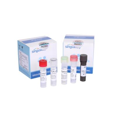 Китай Набор обнаружения PCR RT зонда сильно чувствительного Ultrafast набора теста PCR RT дневной продается