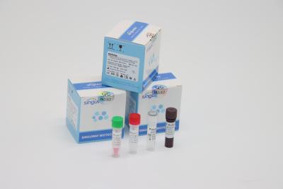 China Laboratorio usando equipo dual de la muestra de la esponja de la polimerización en cadena del virus clínico de LP de los equipos de la prueba de la polimerización en cadena Covid del RT medios en venta