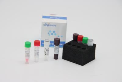 China Oral Swab Highly Accurate RT PCR Collection Kit IVD Lab Reagent For ADV Virus Testing for sale