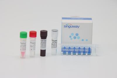 China 50 jogos diagnósticos do PCR do tempo real de Copies/Ml para a fusão Gene Typing da leucemia BCR-ABL à venda