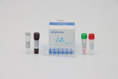 China Accurate Dengue Virus RT PCR Test Kit 48 96 Tests Per Kit 20uL Reaction Volume for sale