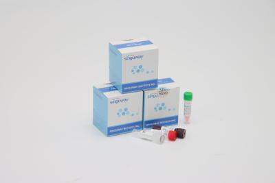 China Rapid RSV Virus Instant RT PCR Test Kit POCT IVD Clinical Diagnosis High Precision for sale