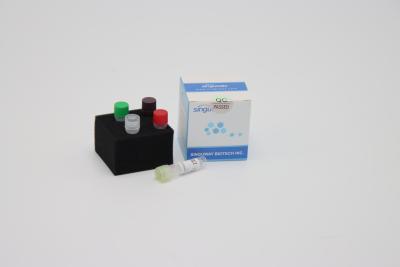 China HIFi Polymerase DNA Reverse Transcription PCR Kit RT PCR Reagents Singuway for sale