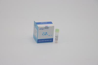 China One Step Influenza PCR Kit CE Nasal Swab Sample Nucleic Acid Testing Kit for sale
