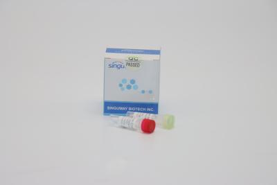 China Nucleic Acid Testing  Dengue RT PCR Kit Nasal Swab Fluorescent RT PCR Kit for sale