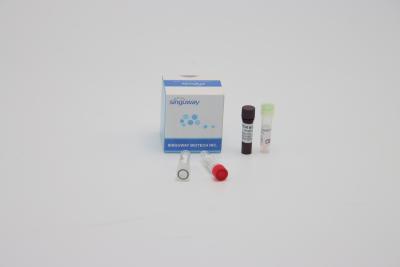 China Oral Swab Sample Quantitative Multiplex PCR Reaction Reagents ISO13485 for sale