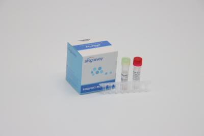 China Clinical Diagnosis IVD Real Time PCR Reagents Fluorescence Probing One Step PCR Kit for sale