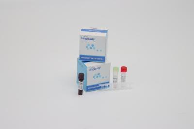 China Super Sensitive Multiplex Real Time PCR Kit Coronavirus Nucleic Acid Detection Reagents for sale