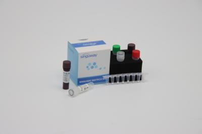 China Molecular Diagnosis Quantitative PCR Detection Kit Reagent ISO13485 Within 30 Mins for sale