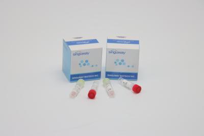 China CE PCR Swab Test Kit Hepatitis B And C Test Kits Clinical Diagnosis for sale