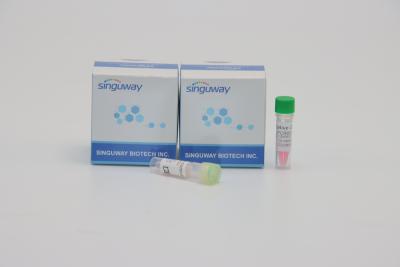 China Singuway HSV II Virus PCR Detection Kit Quantitative Fluorescent For Genetic Testing for sale