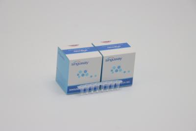 China High Stability HCV Real Time PCR Kit HBV Hepatitis B Rapid Test Kit Lab Reagent ISO13485 for sale