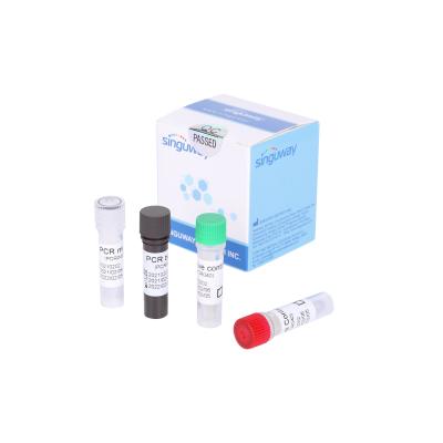 China Fast Real Time Rapid Covid 19 PCR Testing Kit Detection Within 30 Minutes for sale