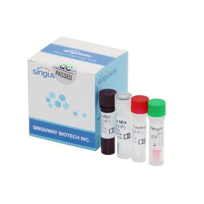 China High Precision Covid-19 Real Time PCR Detection Kit Fluorescent Probe 50 Copies/Ml for sale