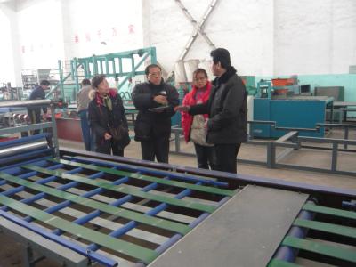 China Computer Frequency Control Sandwich Panel Production Line Full Automatic for sale