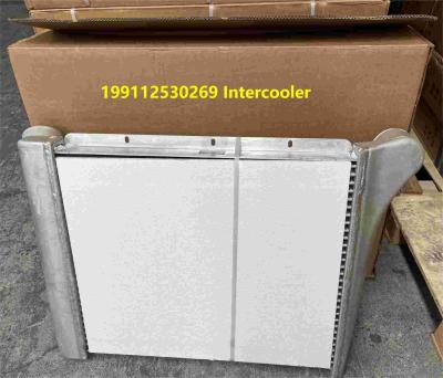 China 199112530269 Shacman Truck Parts Intercooler Assembly Shacman F3000 Truck Parts for sale