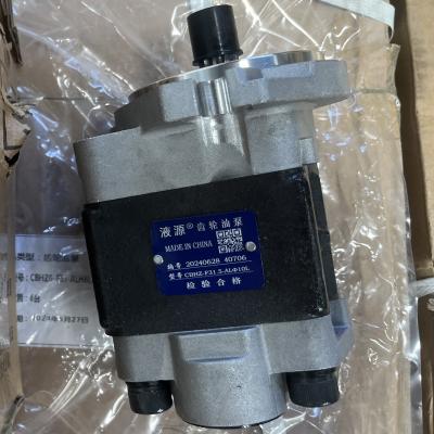 Chine Hydraulic Pump Diesel Engine Forklift CBHZ-F31.5-AL 20*25*30 Quality Gear Pump à vendre