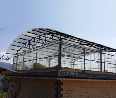 China 0.8-3mm Embossed And Corrugated Polycarbonate Sheet For Greenhouse Sun Room Patio Shed for sale